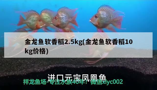 魚(yú)缸底色用什么顏色好看又實(shí)用(魚(yú)缸適宜什么顏色) 紅勾銀版魚(yú) 第3張