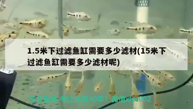 廈門魚(yú)缸哪里有賣得啊圖片和廈門魚(yú)缸哪里有賣得啊，廈門魚(yú)缸哪里有賣得啊圖片、廈門杏林賣魚(yú)缸的地方