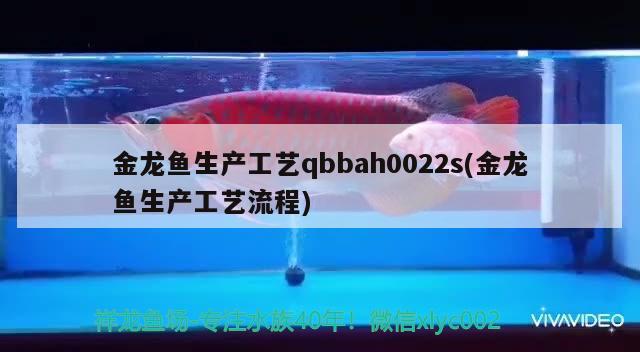 渭南水族批發(fā)市場：店里庫存滿滿歡迎選購 觀賞魚水族批發(fā)市場 第2張