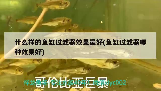 什么樣的魚缸過濾器效果最好(魚缸過濾器哪種效果好)