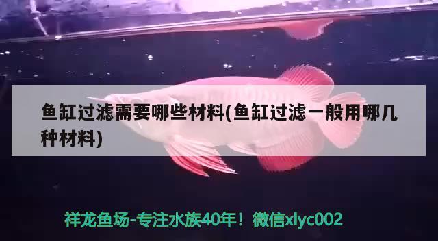 魚缸過(guò)濾需要哪些材料(魚缸過(guò)濾一般用哪幾種材料) 祥龍超血紅龍魚