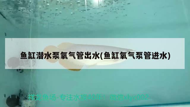 魚缸潛水泵氧氣管出水(魚缸氧氣泵管進水)