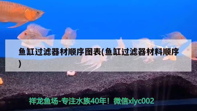 魚缸過濾器材順序圖表(魚缸過濾器材料順序) 羽毛刀魚苗