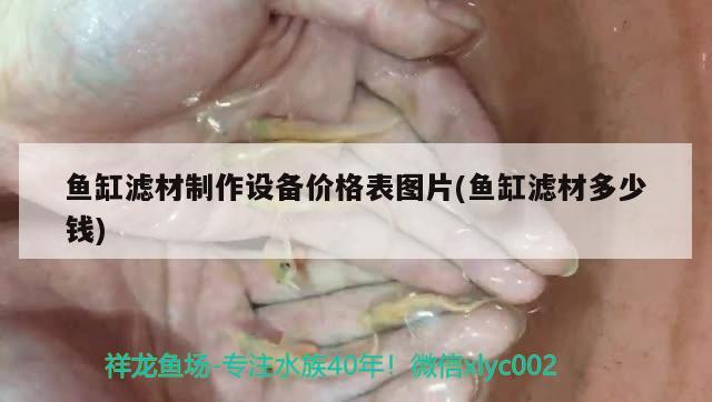 魚缸濾材制作設(shè)備價格表圖片(魚缸濾材多少錢) 喂食器