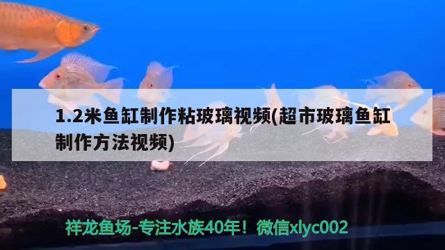 1.2米魚缸制作粘玻璃視頻(超市玻璃魚缸制作方法視頻) 藍(lán)帆三間魚