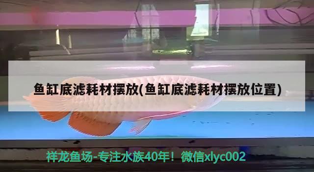 金龍魚廣西香米 金龍魚廣西香米好吃嗎 黃金河虎魚 第2張