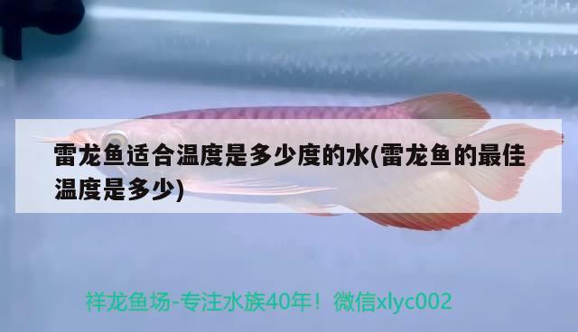 魚缸選超白還是浮法玻璃（魚缸玻璃普通和超白的怎么區(qū)分） 委內(nèi)瑞拉奧里諾三間魚 第2張