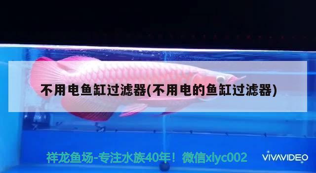 不用電魚(yú)缸過(guò)濾器(不用電的魚(yú)缸過(guò)濾器) 小型觀賞魚(yú)