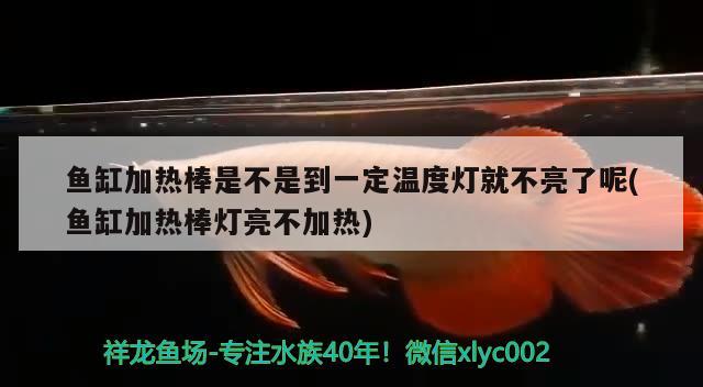 魚(yú)缸加熱棒是不是到一定溫度燈就不亮了呢(魚(yú)缸加熱棒燈亮不加熱) 狗仔（招財(cái)貓)魚(yú)苗