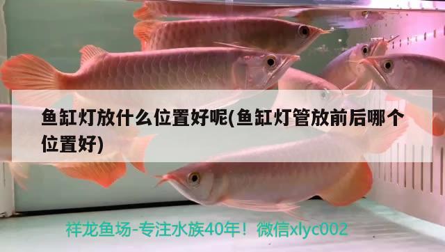 魚缸燈放什么位置好呢(魚缸燈管放前后哪個位置好) 黑金魟魚