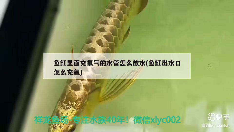 魚缸里面充氧氣的水管怎么放水(魚缸出水口怎么充氧) 龍魚批發(fā)