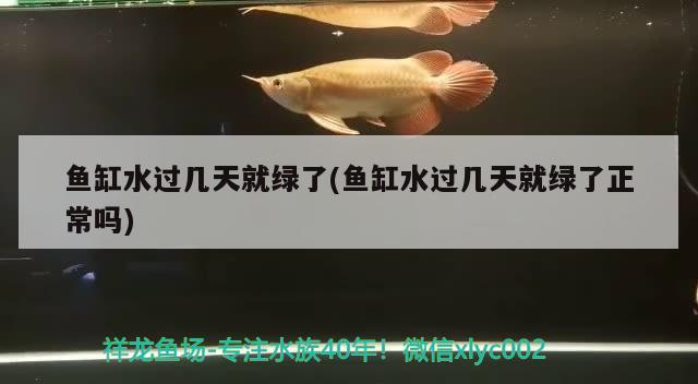 魚(yú)缸水過(guò)幾天就綠了(魚(yú)缸水過(guò)幾天就綠了正常嗎)