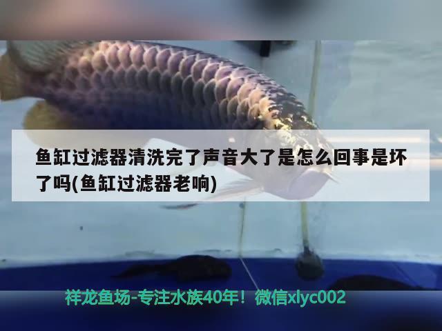 魚(yú)缸過(guò)濾器清洗完了聲音大了是怎么回事是壞了嗎(魚(yú)缸過(guò)濾器老響)