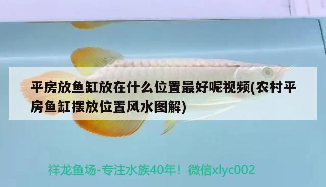 平房放魚缸放在什么位置最好呢視頻(農(nóng)村平房魚缸擺放位置風(fēng)水圖解) 魚缸風(fēng)水