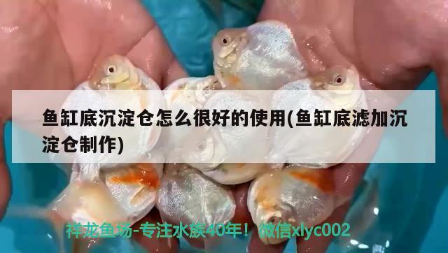 魚(yú)缸底沉淀倉(cāng)怎么很好的使用(魚(yú)缸底濾加沉淀倉(cāng)制作) 委內(nèi)瑞拉奧里諾三間魚(yú)