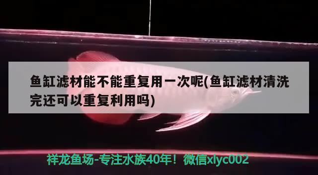 最近魚不吃了怎么回事？ 金龍魚糧 第3張