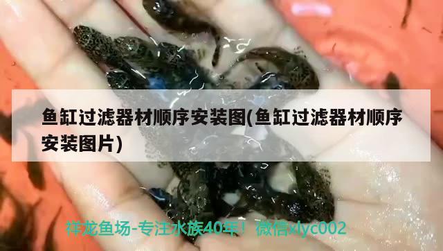 魚缸過濾器材順序安裝圖(魚缸過濾器材順序安裝圖片) 球鯊魚