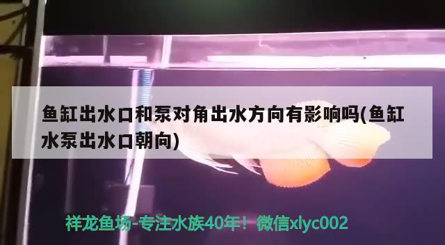 最近魚不吃了怎么回事？ 金龍魚糧 第2張