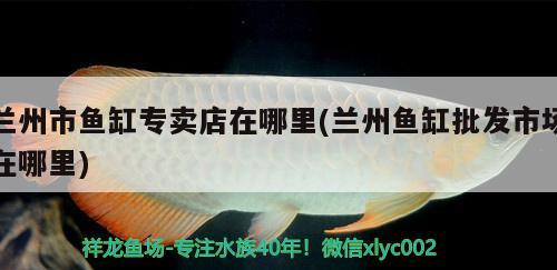 金龍魚品種鑒別圖片大全（金龍魚品種鑒別圖片大全視頻） 白子關刀魚 第2張