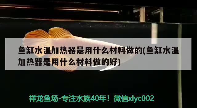 魚缸水溫加熱器是用什么材料做的(魚缸水溫加熱器是用什么材料做的好) 生態(tài)瓶/創(chuàng)意缸/桌面微景缸