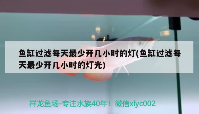 魚缸過濾每天最少開幾小時的燈(魚缸過濾每天最少開幾小時的燈光) 帝王血鉆