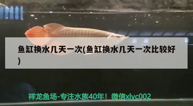 魚(yú)缸換水幾天一次(魚(yú)缸換水幾天一次比較好)