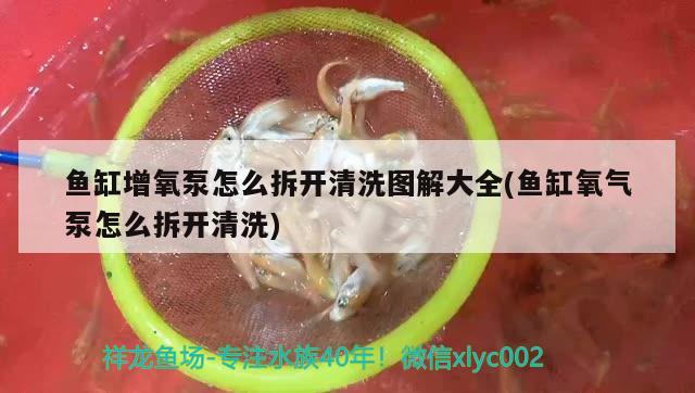 魚缸增氧泵怎么拆開清洗圖解大全(魚缸氧氣泵怎么拆開清洗) 大正錦鯉魚