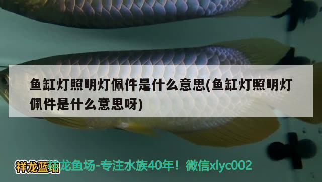 魚缸燈照明燈佩件是什么意思(魚缸燈照明燈佩件是什么意思呀)