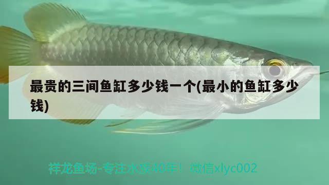 最貴的三間魚缸多少錢一個(gè)(最小的魚缸多少錢) 過濾設(shè)備