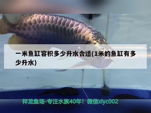 衡水魚缸清洗公司地址電話查詢（青島尚城裝飾公司） 鸚鵡魚 第3張