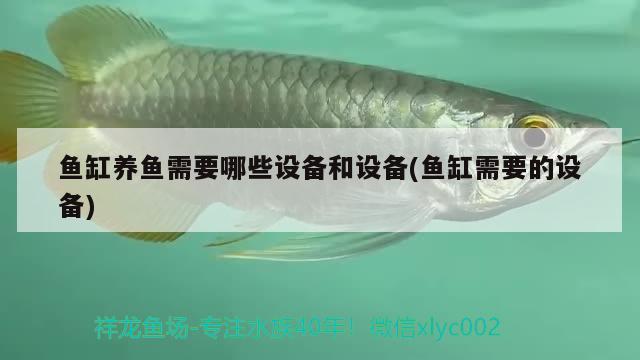 童年在前進(jìn)中 野彩魚 第3張