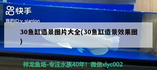 濟(jì)寧賣魚缸的地方有哪些店（濟(jì)寧魚缸批發(fā)市場(chǎng)在哪里）