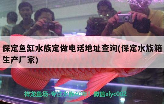 保定魚缸水族定做電話地址查詢(保定水族箱生產(chǎn)廠家) 魚缸/水族箱