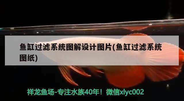 魚(yú)缸過(guò)濾系統(tǒng)圖解設(shè)計(jì)圖片(魚(yú)缸過(guò)濾系統(tǒng)圖紙) 祥龍龍魚(yú)專用水族燈