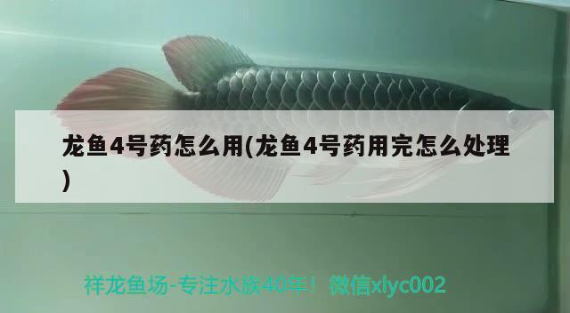 濟(jì)南魚(yú)缸回收電話多少號(hào)碼：濟(jì)南二手魚(yú)缸轉(zhuǎn)讓58同城