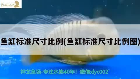 魚缸標(biāo)準(zhǔn)尺寸比例(魚缸標(biāo)準(zhǔn)尺寸比例圖)