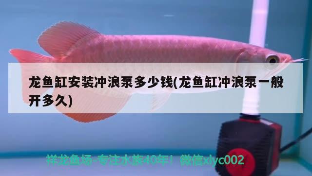 龍魚缸安裝沖浪泵多少錢(龍魚缸沖浪泵一般開多久)