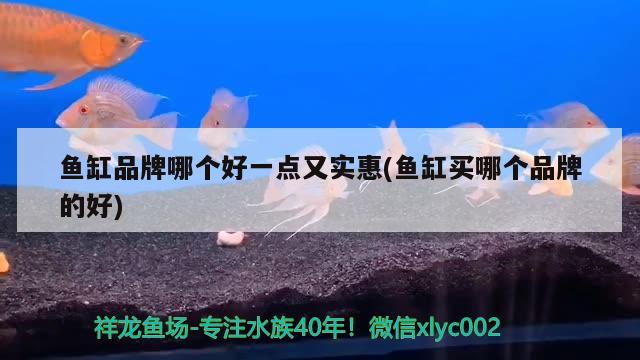 魚缸品牌哪個(gè)好一點(diǎn)又實(shí)惠(魚缸買哪個(gè)品牌的好) 南美異型魚