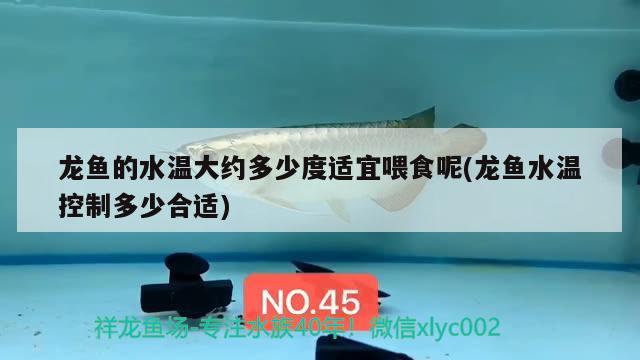 龍魚(yú)的水溫大約多少度適宜喂食呢(龍魚(yú)水溫控制多少合適)