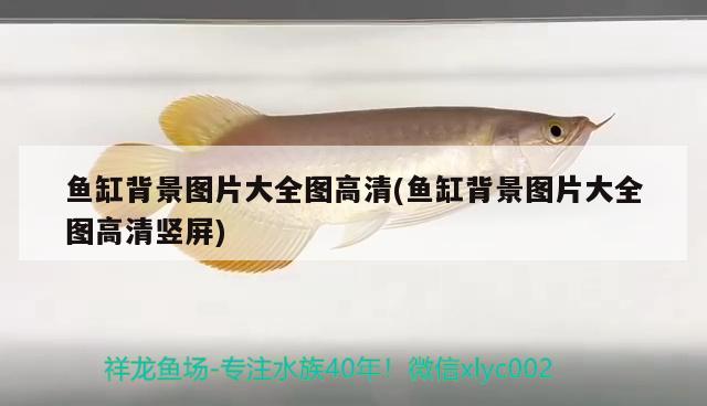 魚(yú)缸背景圖片大全圖高清(魚(yú)缸背景圖片大全圖高清豎屏)