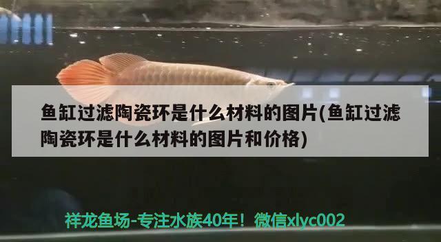 魚(yú)缸過(guò)濾陶瓷環(huán)是什么材料的圖片(魚(yú)缸過(guò)濾陶瓷環(huán)是什么材料的圖片和價(jià)格) 眼斑魚(yú)