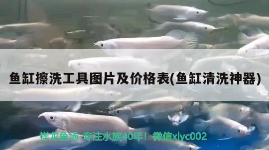 魚缸擦洗工具圖片及價格表(魚缸清洗神器)