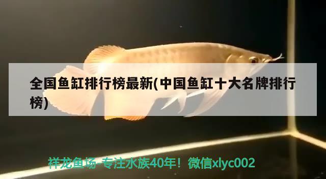 全國魚缸排行榜最新(中國魚缸十大名牌排行榜) 黃金斑馬魚 第1張