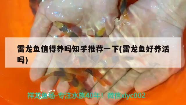 魚缸打孔最佳位置，魚缸鉆孔的正確方法