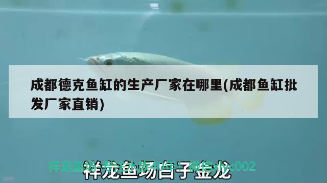 成都德克魚(yú)缸的生產(chǎn)廠家在哪里(成都魚(yú)缸批發(fā)廠家直銷(xiāo))