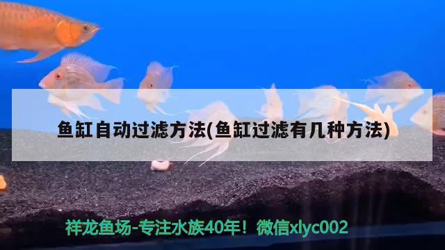 魚缸自動(dòng)過濾方法(魚缸過濾有幾種方法)