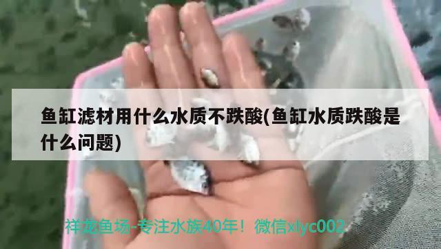 魚缸濾材用什么水質(zhì)不跌酸(魚缸水質(zhì)跌酸是什么問題)