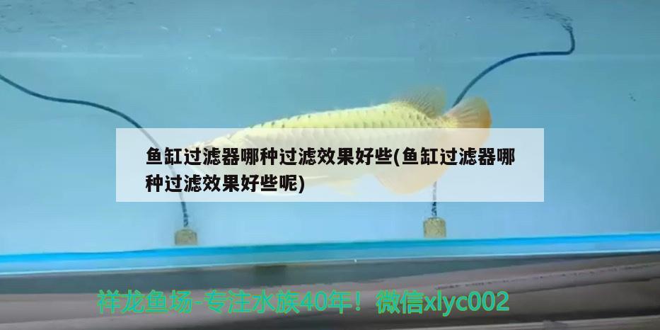 魚缸過濾器哪種過濾效果好些(魚缸過濾器哪種過濾效果好些呢) 大日玉鯖魚