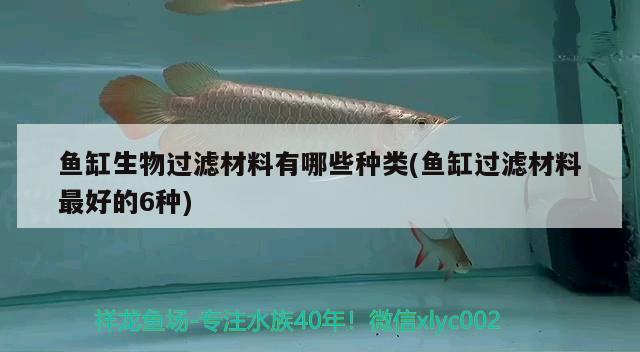 魚缸生物過濾材料有哪些種類(魚缸過濾材料最好的6種) 紅頭利魚