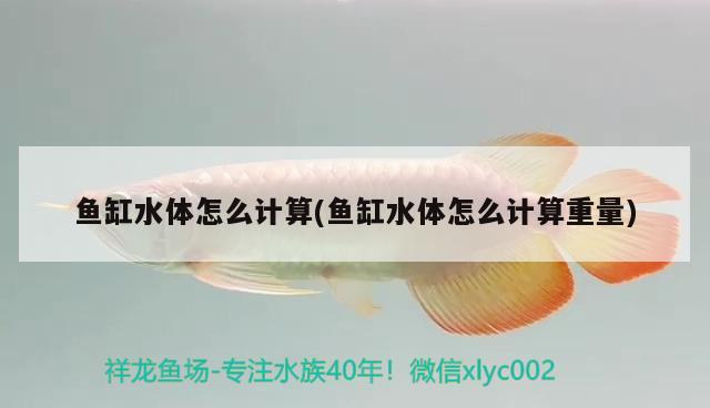 魚缸水體怎么計(jì)算(魚缸水體怎么計(jì)算重量) 白寫錦鯉魚